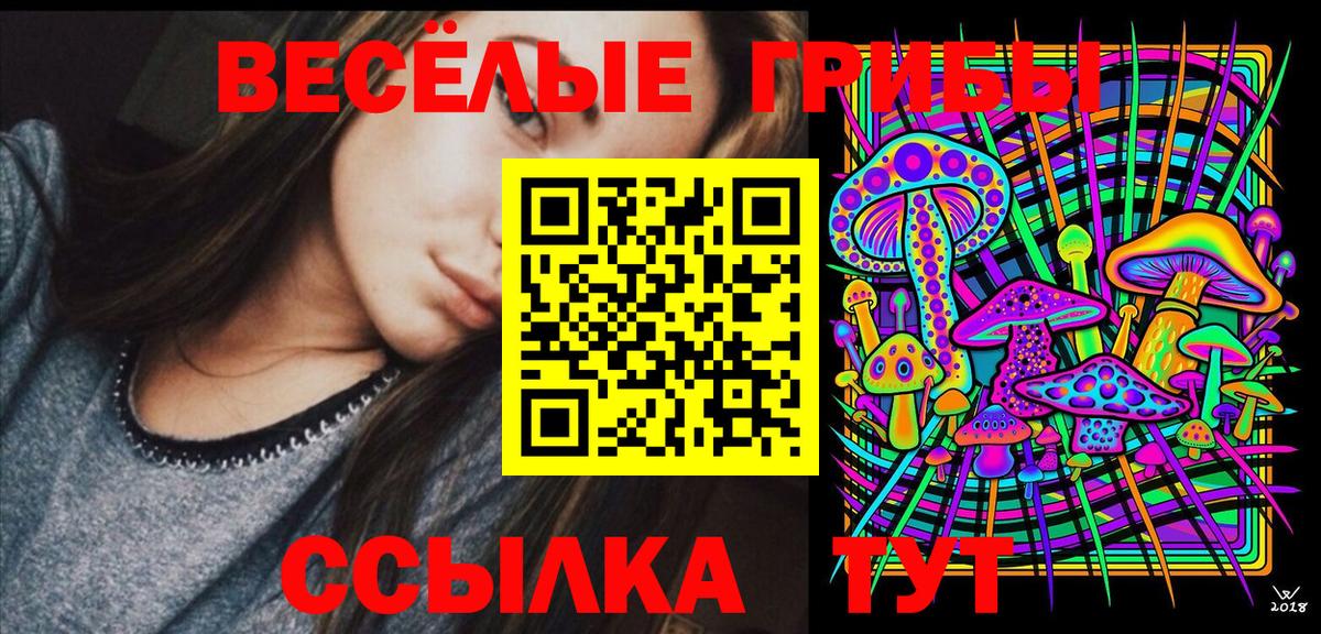 Богородицк  Галлюциногенные грибы прущие грибы  Вход с VPN 